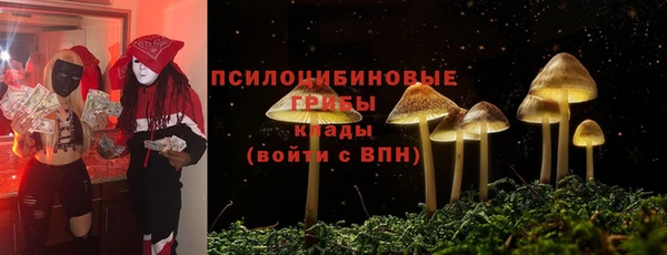 ALPHA-PVP Гусь-Хрустальный