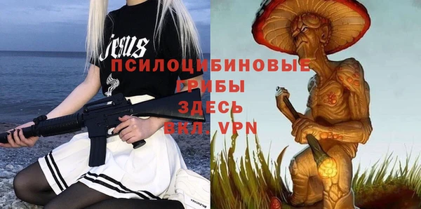 ALPHA-PVP Гусь-Хрустальный
