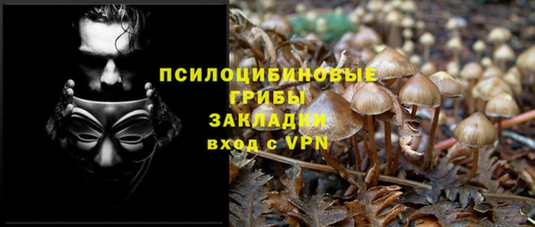 ALPHA-PVP Гусь-Хрустальный