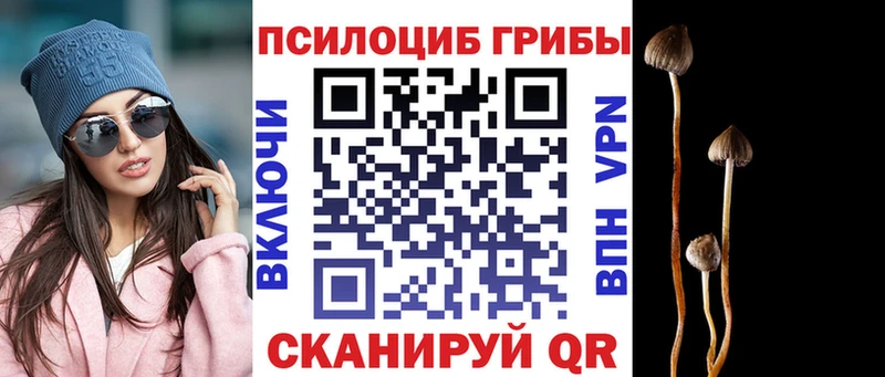 Галлюциногенные грибы GOLDEN TEACHER  Купить закладки  Макаров 